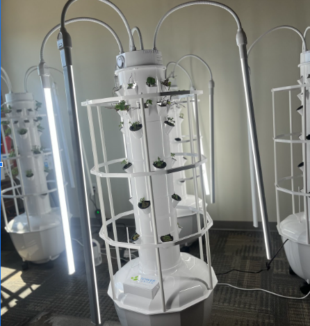 Students learn how to grow vegetables using Hydroponic tower.